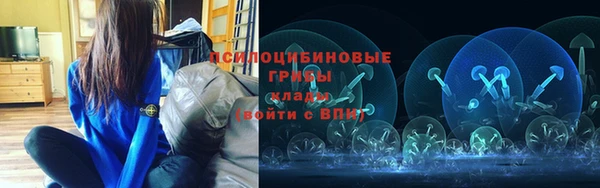 соль ск Арсеньев