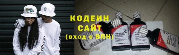 соль ск Арсеньев