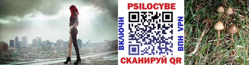 Псилоцибиновые грибы GOLDEN TEACHER  Североуральск 